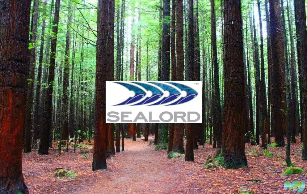 Seafood Giant Sealord Invests $6M in NZ Forest Carbon Offset Project